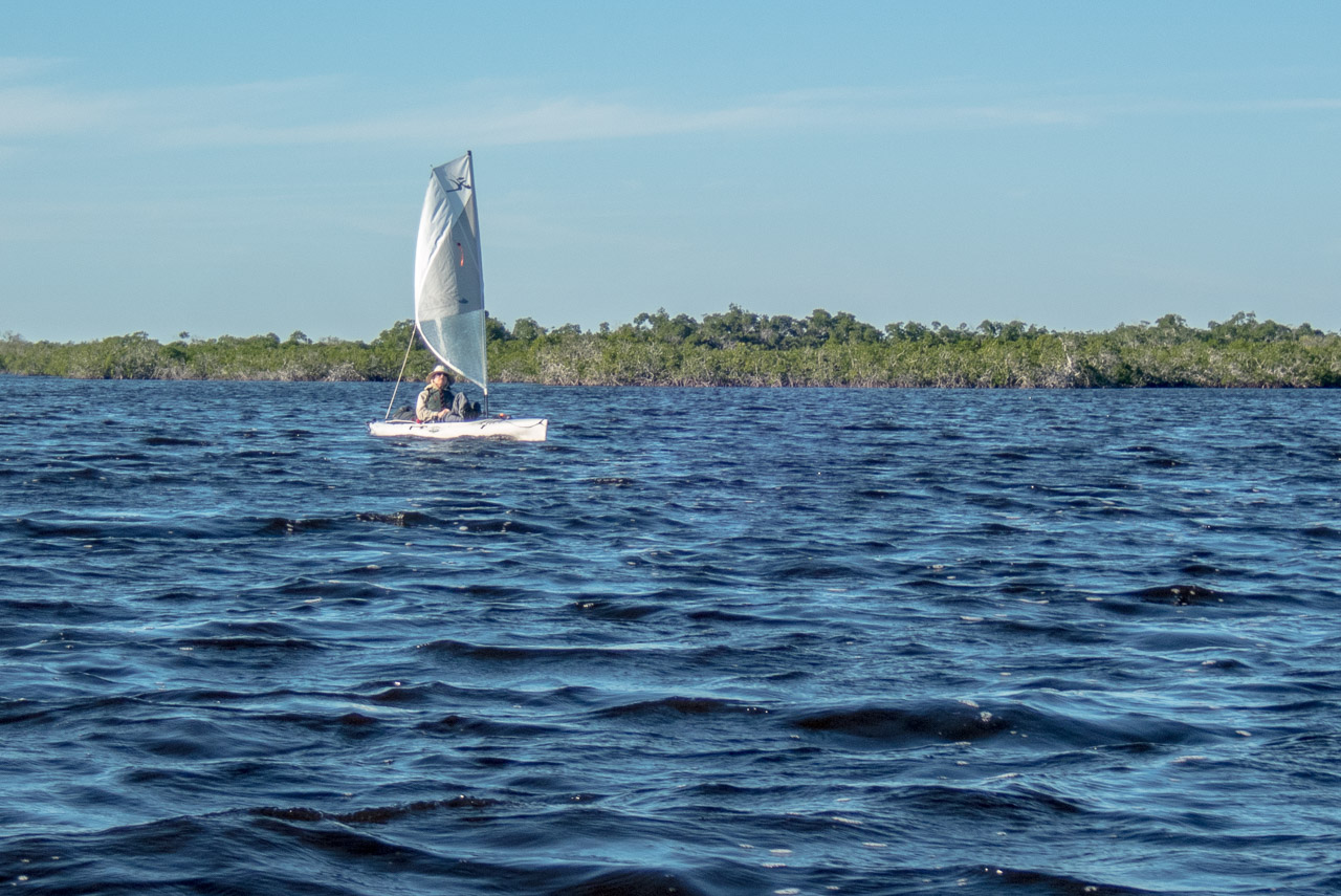 Everglades 2020 21