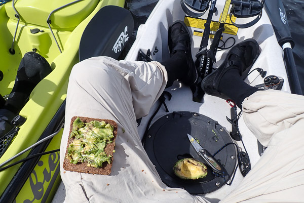 Mmmm&hellip; Avocado Sandwiches