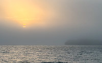 0021 Everglades 2026 Foggy Morning