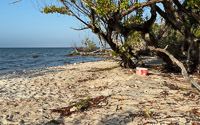 0041 Everglades 2026 
