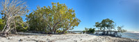 0060 Everglades 2026 Panorama 