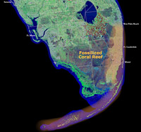 01 South Florida 1 Reef