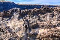 0078 Galapagos Hdr High Dynamic Range