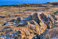 0117 Galapagos Hdr High Dynamic Range