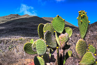 0392 Galapagos Hdr High Dynamic Range