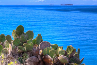 0397 Galapagos Hdr High Dynamic Range