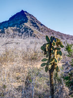 0469 Galapagos Hdr High Dynamic Range