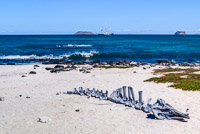 0566 Galapagos Hdr High Dynamic Range