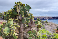 0626 Galapagos Hdr High Dynamic Range