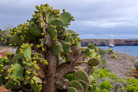 0627 Galapagos Hdr High Dynamic Range