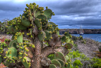 0628 Galapagos Hdr High Dynamic Range