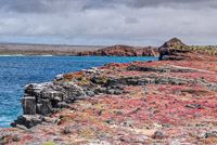 0665 Galapagos Hdr High Dynamic Range