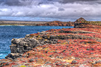 0666 Galapagos Hdr High Dynamic Range