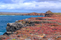 0667 Galapagos Hdr High Dynamic Range