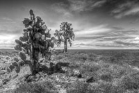 0698 Galapagos Hdr High Dynamic Range