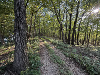 1015 Guttenberg 2025 Pikes Peak Iowa 