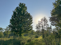 1020 Guttenberg 2025 Pikes Peak Iowa 