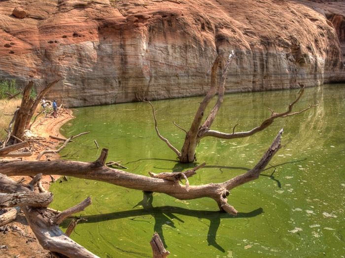 lake-powell-2020-20.jpg