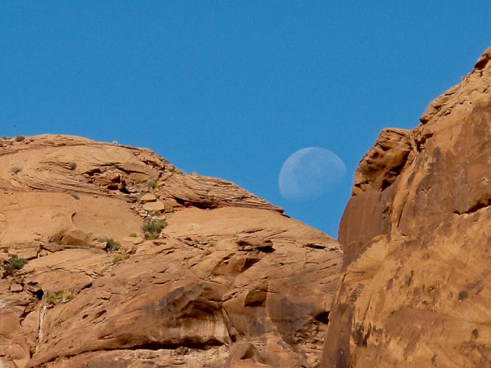 Moonrise Over the Canyon