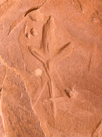 0047 Defiance House Ruins Lake Powell Utah 2020 Rock Art 