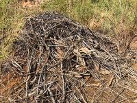 0068 Lake Powell Utah 2020 Old Beaver Lodge