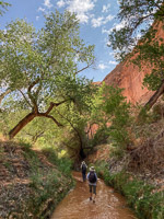 0096 Lake Powell Utah 2020 