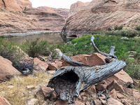 0129 Lake Powell Utah 2020 