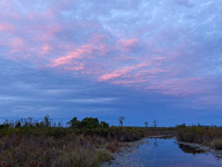 011 Okefenokee 2021 Sunset