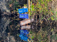 055 Okefenokee 2021 Signs 