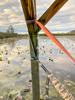 1011 Camping Hammock Tent Okefenokee 2024 Maul Hammock Chickee