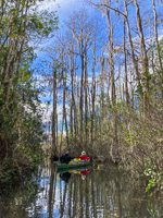 1021 Okefenokee 2024 