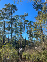 1043 Okefenokee 2024 Floyds Island