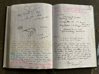 1053 Document Okefenokee 2024 Floyds Island