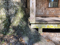 1072 Okefenokee 2024 Floyds Island