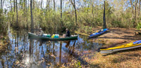 1075 Okefenokee 2024 Panorama Floyds Island