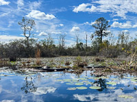 1078 Okefenokee 2024 