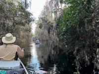 1081 Okefenokee 2024 