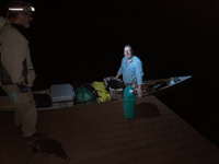 1082 Okefenokee 2024 