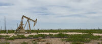 New Mexico 001