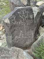 New Mexico 013
