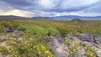 New Mexico 018