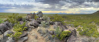 New Mexico 019