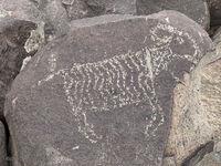 New Mexico 049
