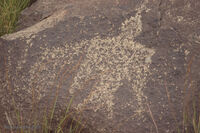New Mexico 087