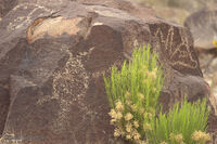 New Mexico 092