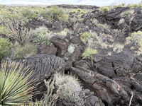 New Mexico 109