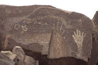 New Mexico 111