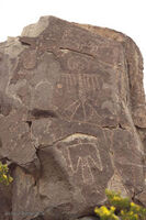 New Mexico 112