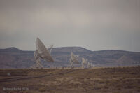 New Mexico 131