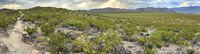 Nine Mile Canyon 017